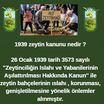 zeytinyağı